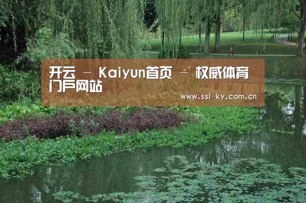 案例展示一(图1)