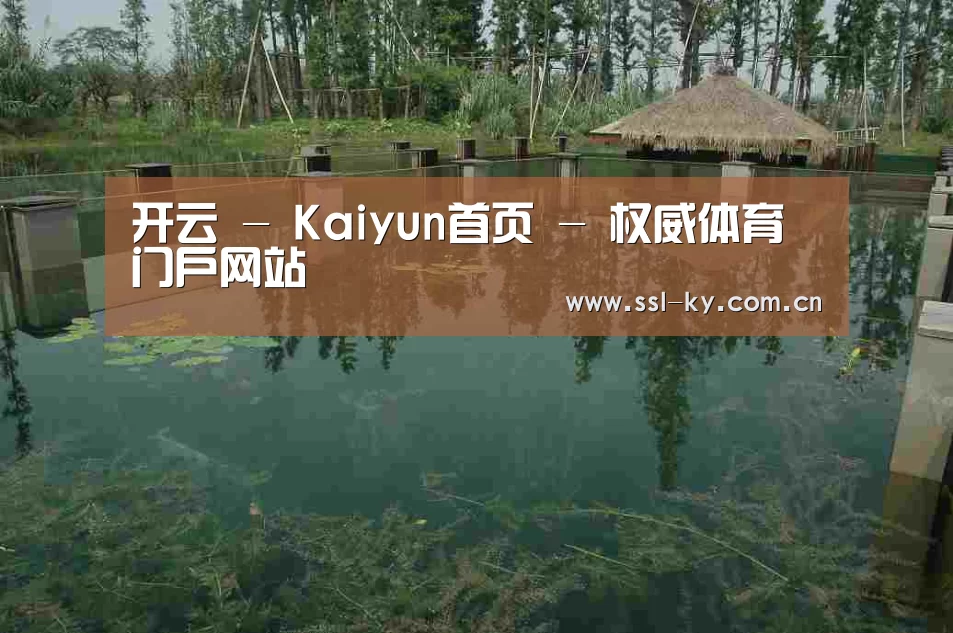 案例展示二(图1)