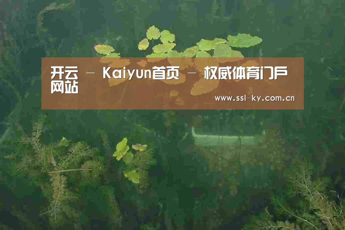 案例展示三(图1)