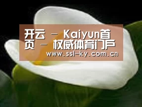 产品名称七