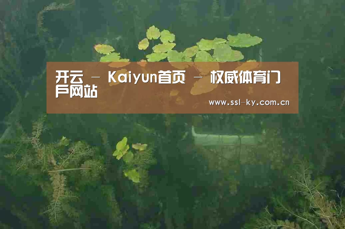 案例展示三