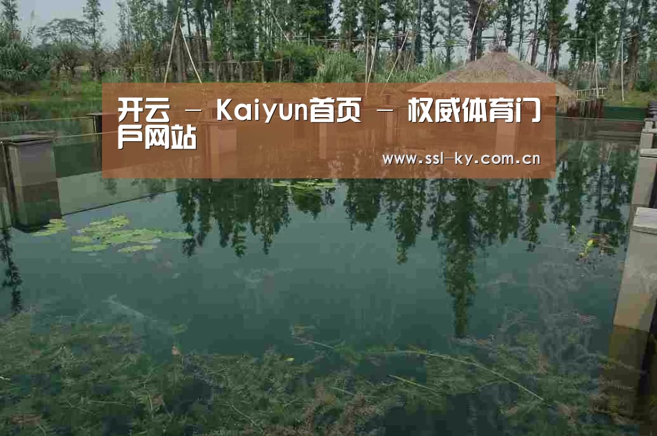 案例展示二