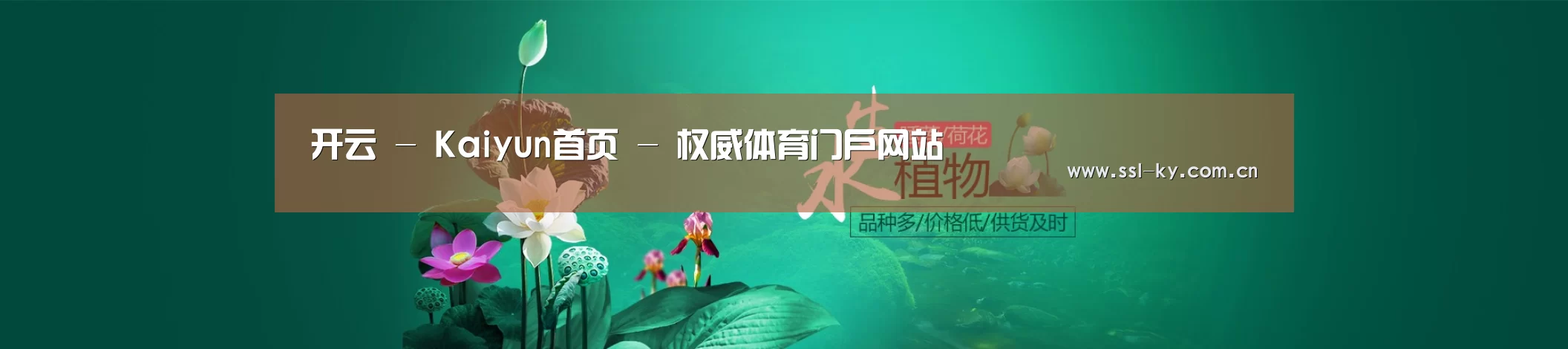 鲜花水草花卉网站模板