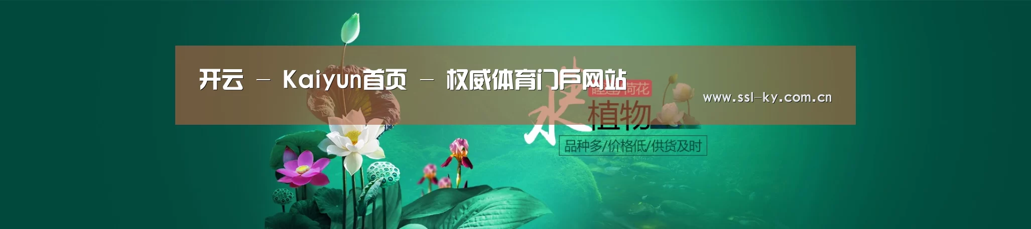 鲜花水草花卉网站模板