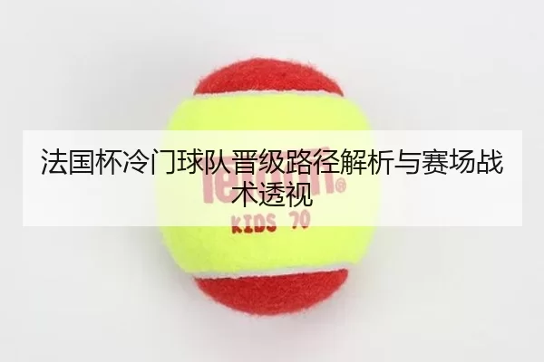 法国杯冷门球队晋级路径解析与赛场战术透视